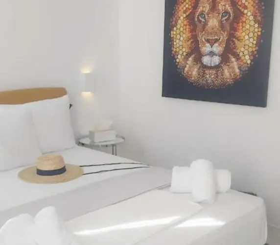 Kipos Livinn Appartement Mykonos Town